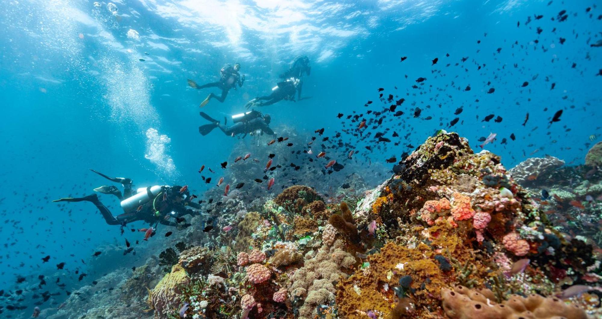 Casalay Boutique Villas & Dive Пуерто-Галера Екстер'єр фото